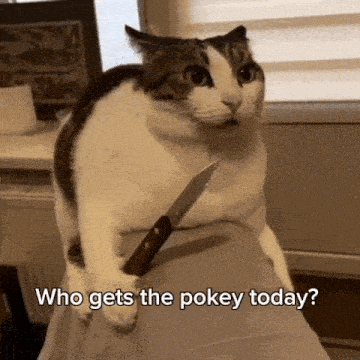 IMG_6015.gif