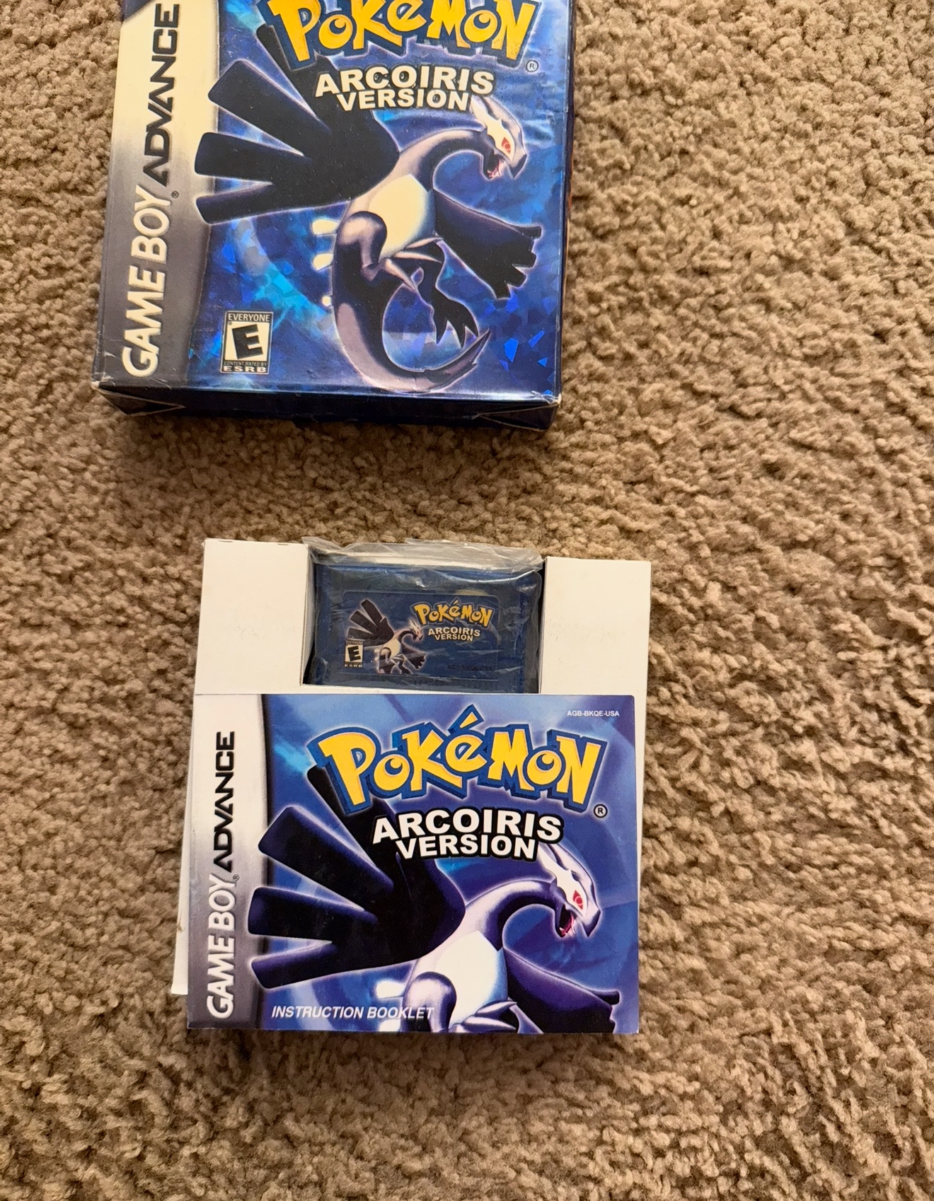 IMG_6031.jpeg