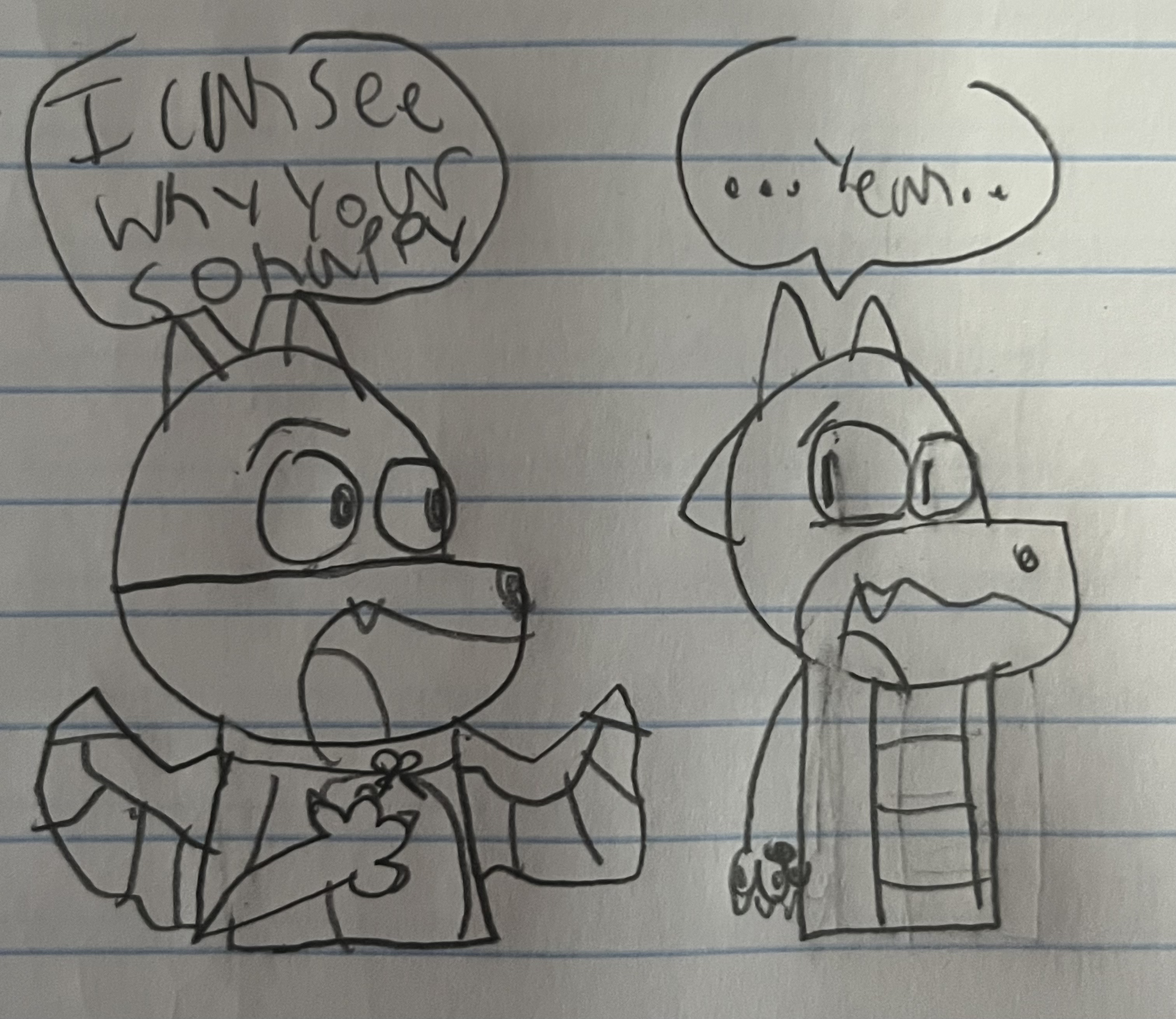 IMG_6981.png