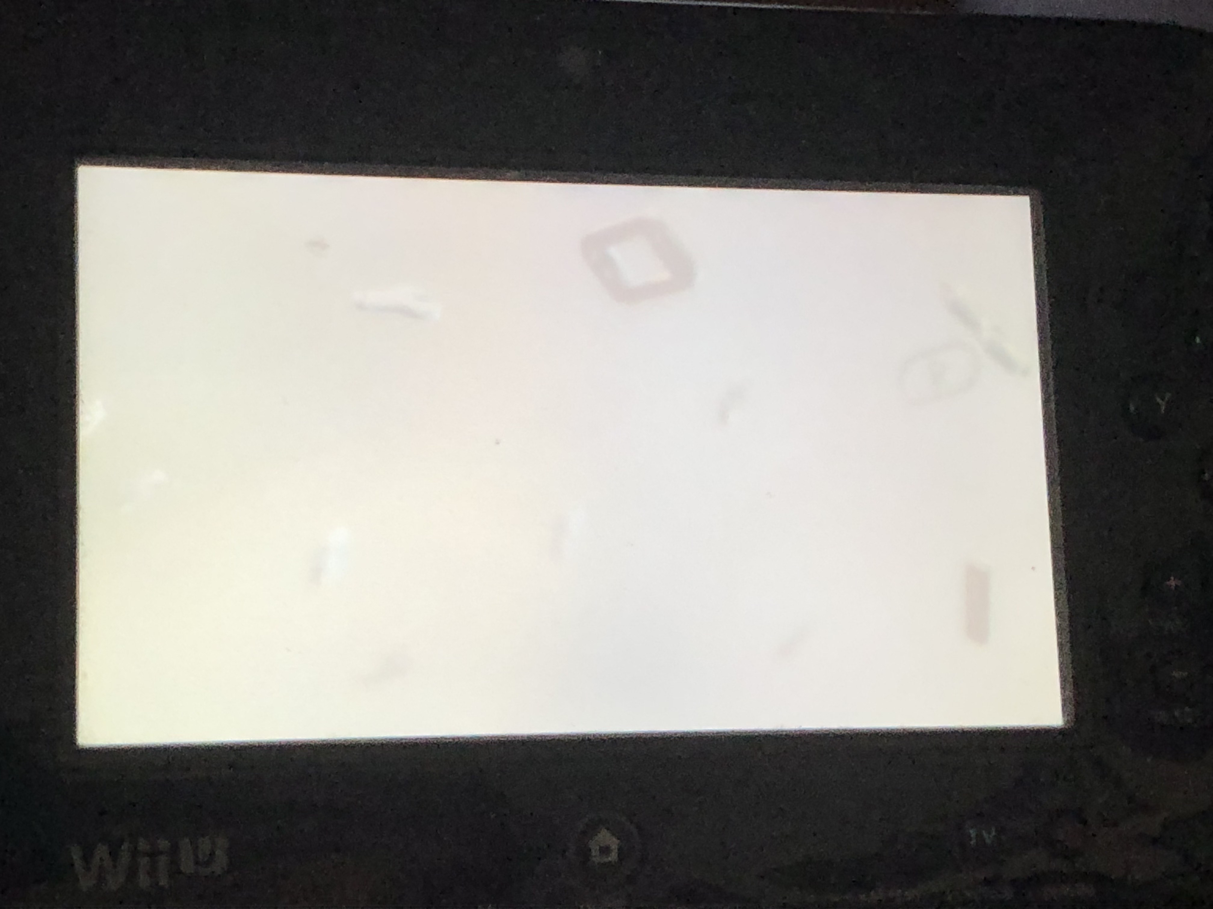 IMG_9224.jpeg