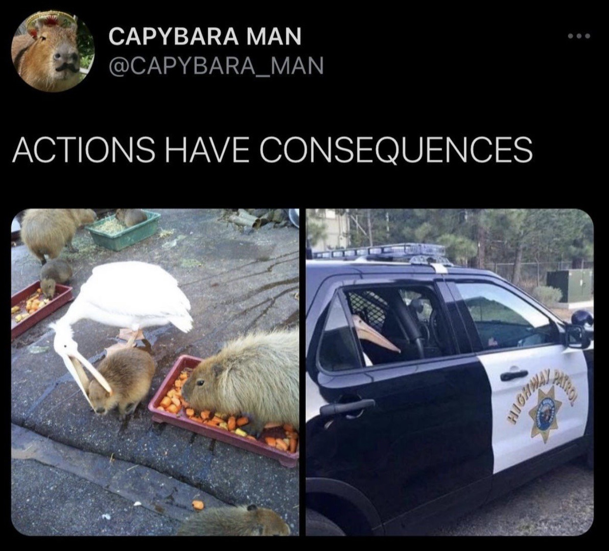 imgmeme.jpg