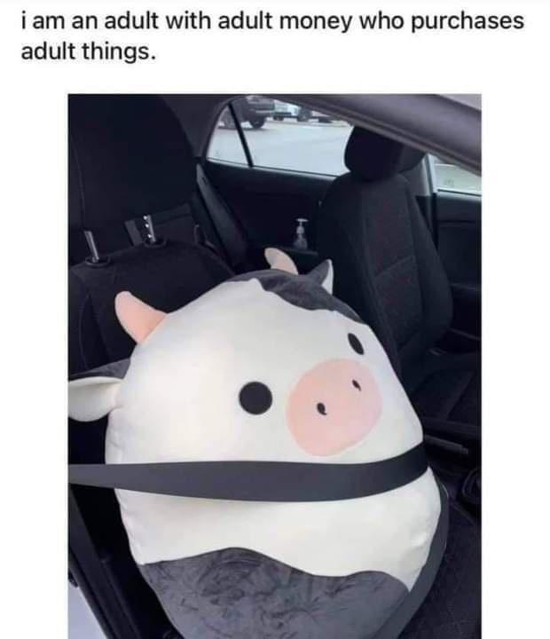 jDqJ7k6.jpeg