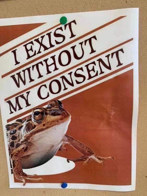 Jq2Ftxm.jpeg
