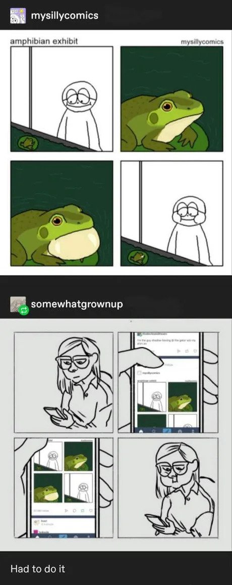 JSEKc9P.jpeg