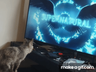 jvl91E.gif