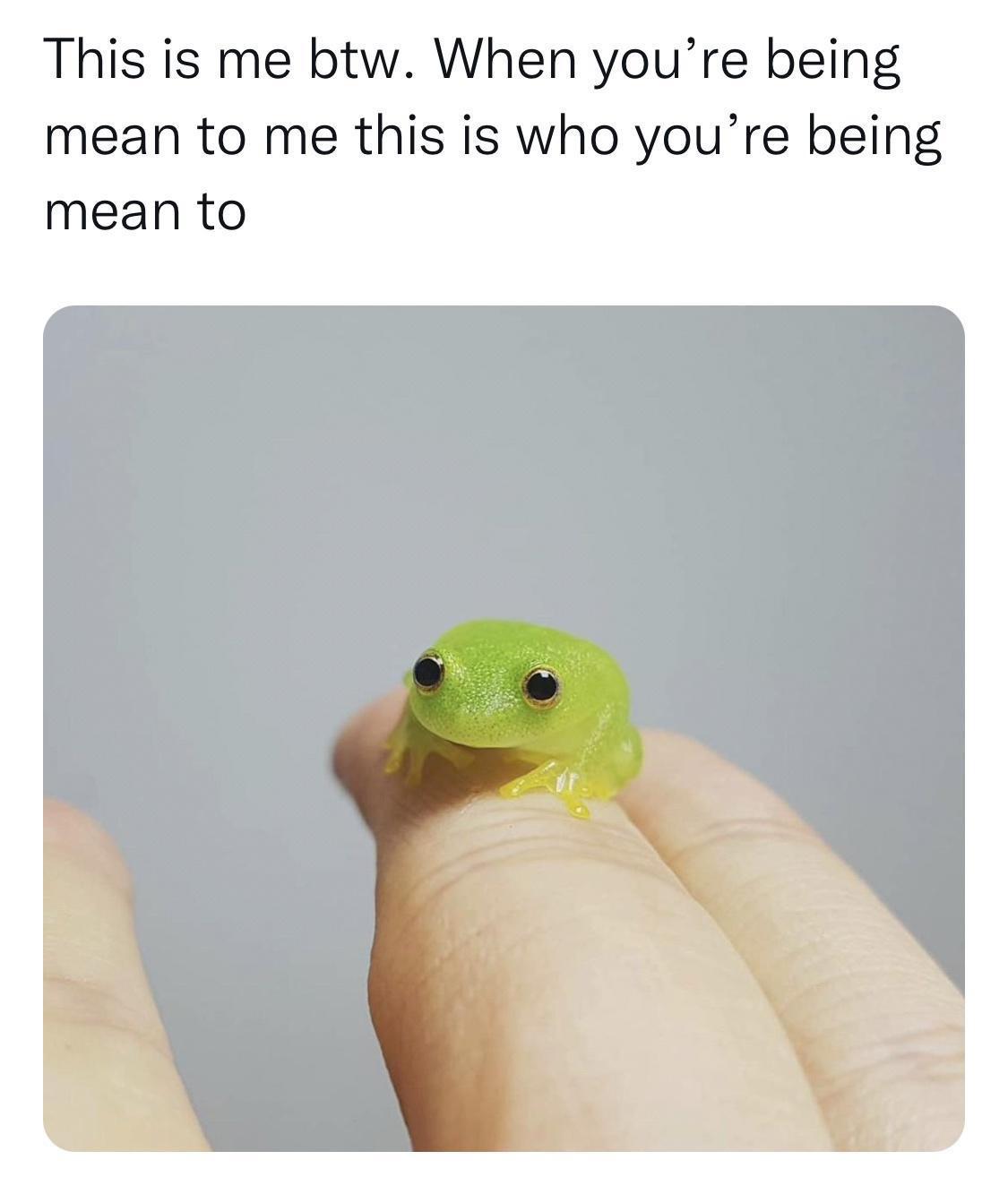 kGE8HUW.jpeg