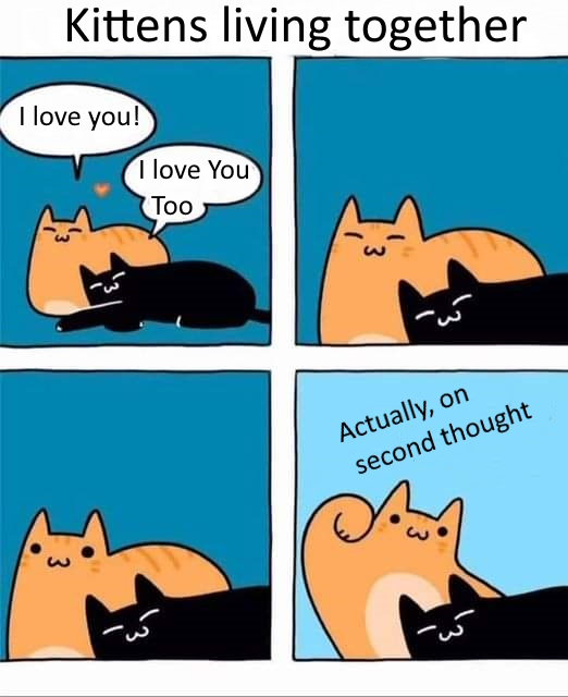 kities.jpg