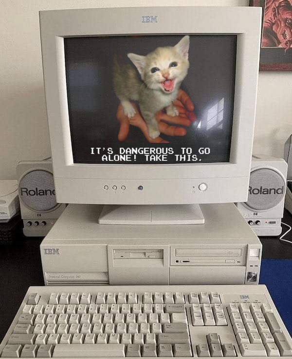 kitty.jpg