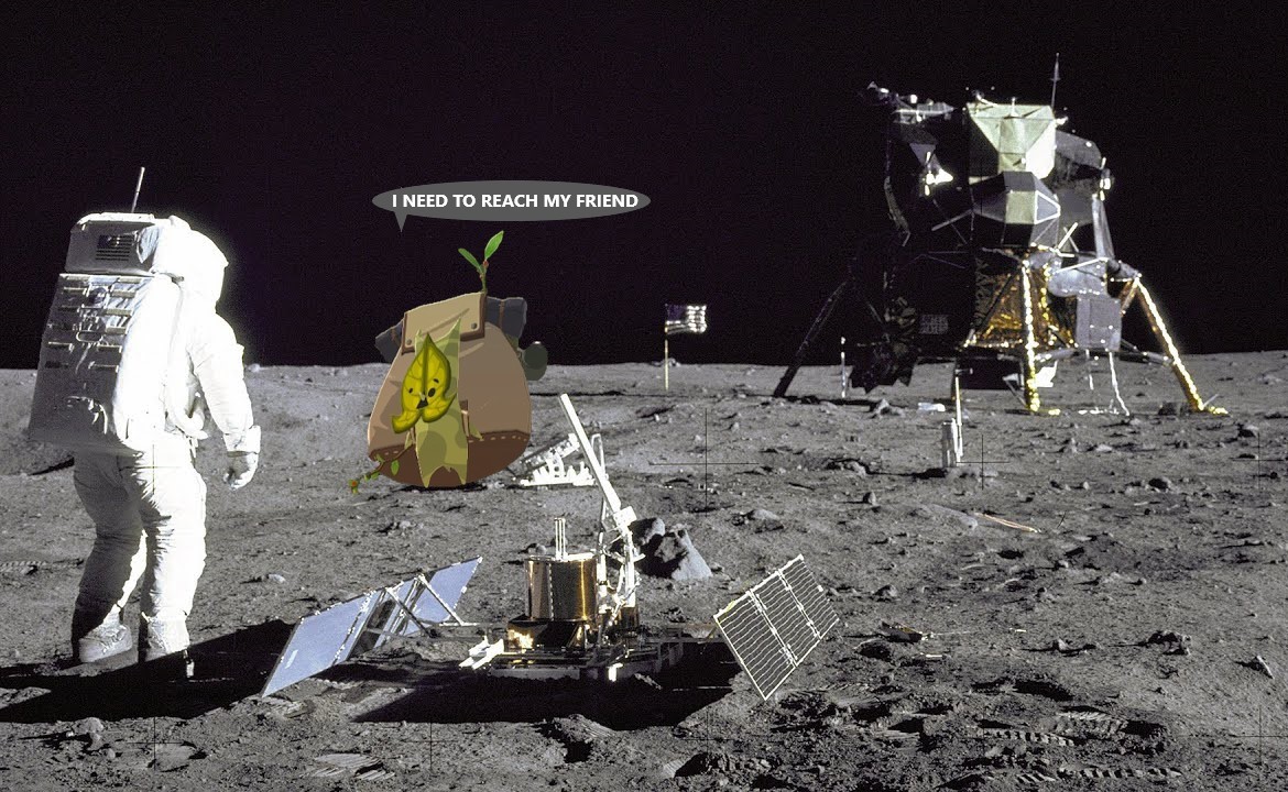 kUROKiNsPACE.jpg