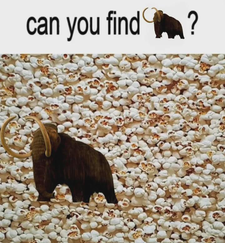 kusdnpbdglme1.jpeg