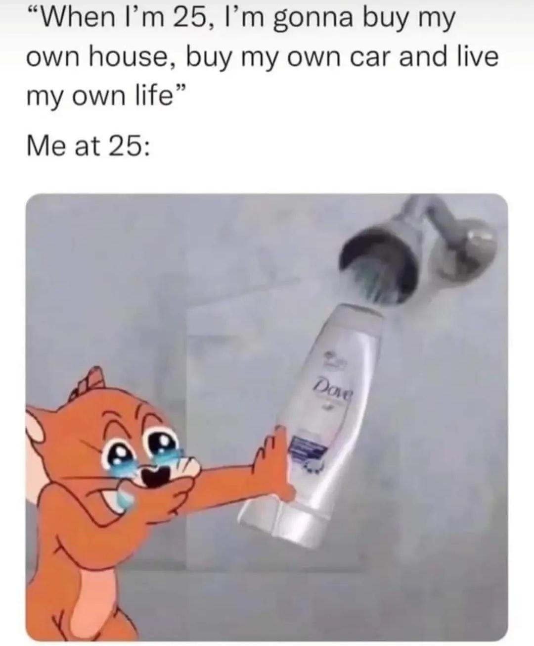 L1J6ezx.jpeg