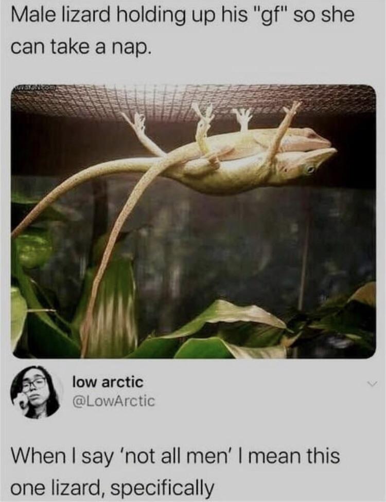 la803w3cpste1.jpeg