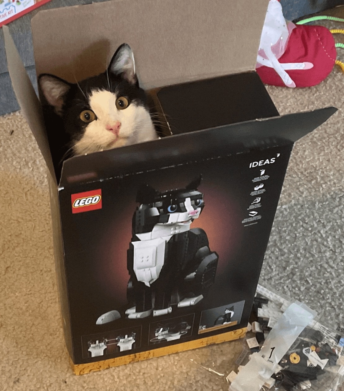 legocat.jpg