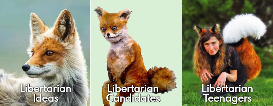 libertarians.png