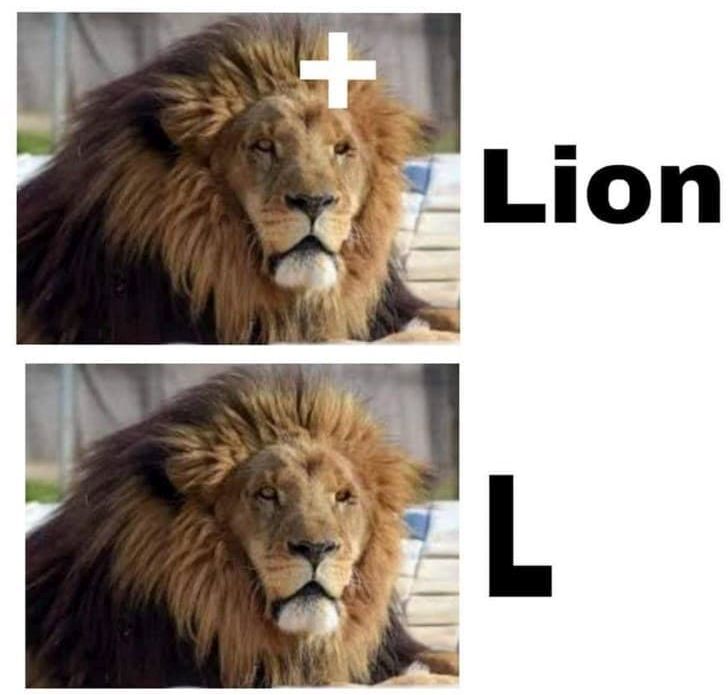 Lion.jpg