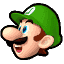 Luigi Head.png