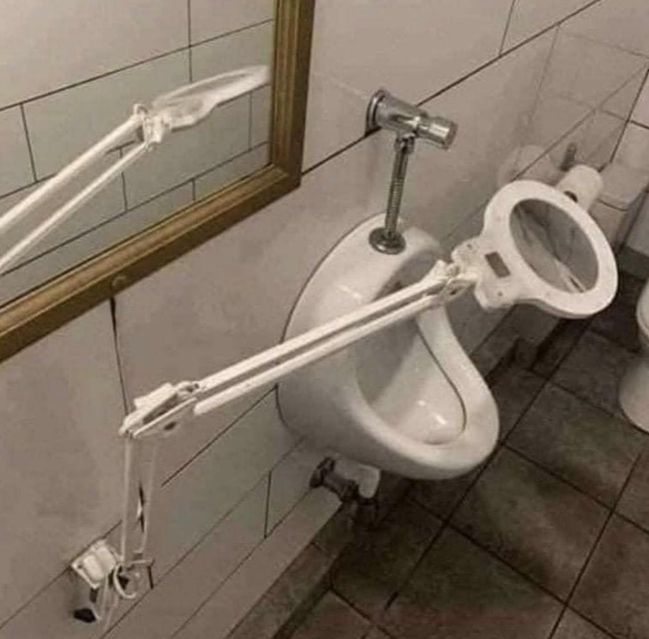 lupa.jpg