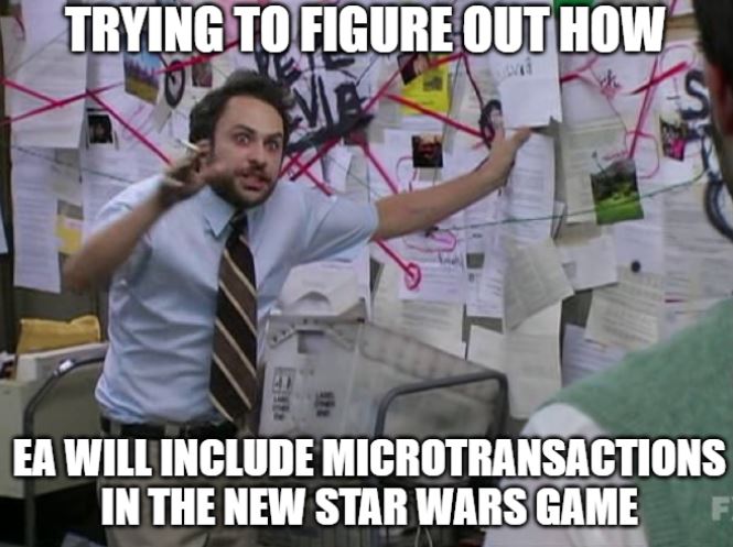 macro.JPG