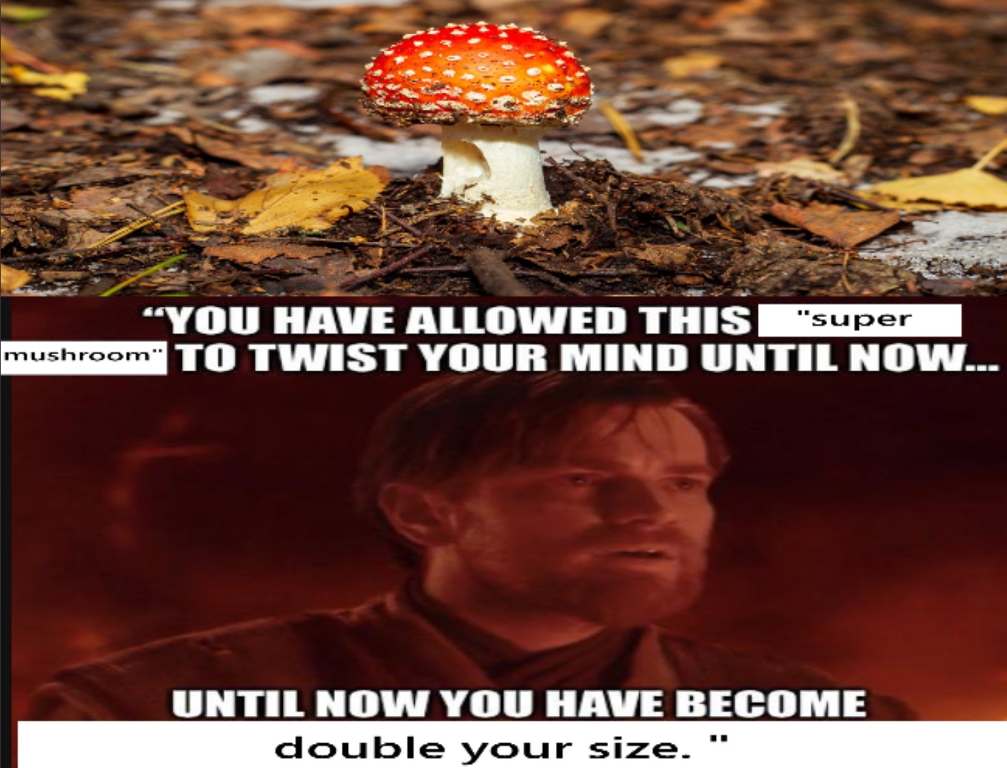 magic mushroom.jpg