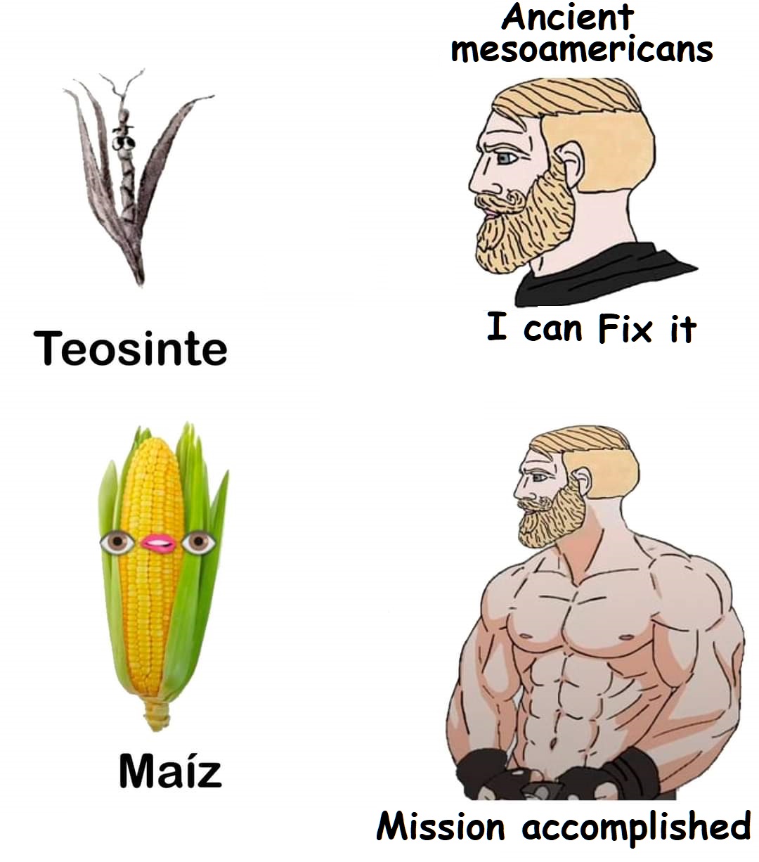 maíz.jpg