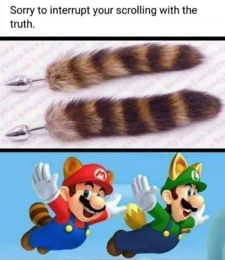 MarioMapachePLUG.jpg