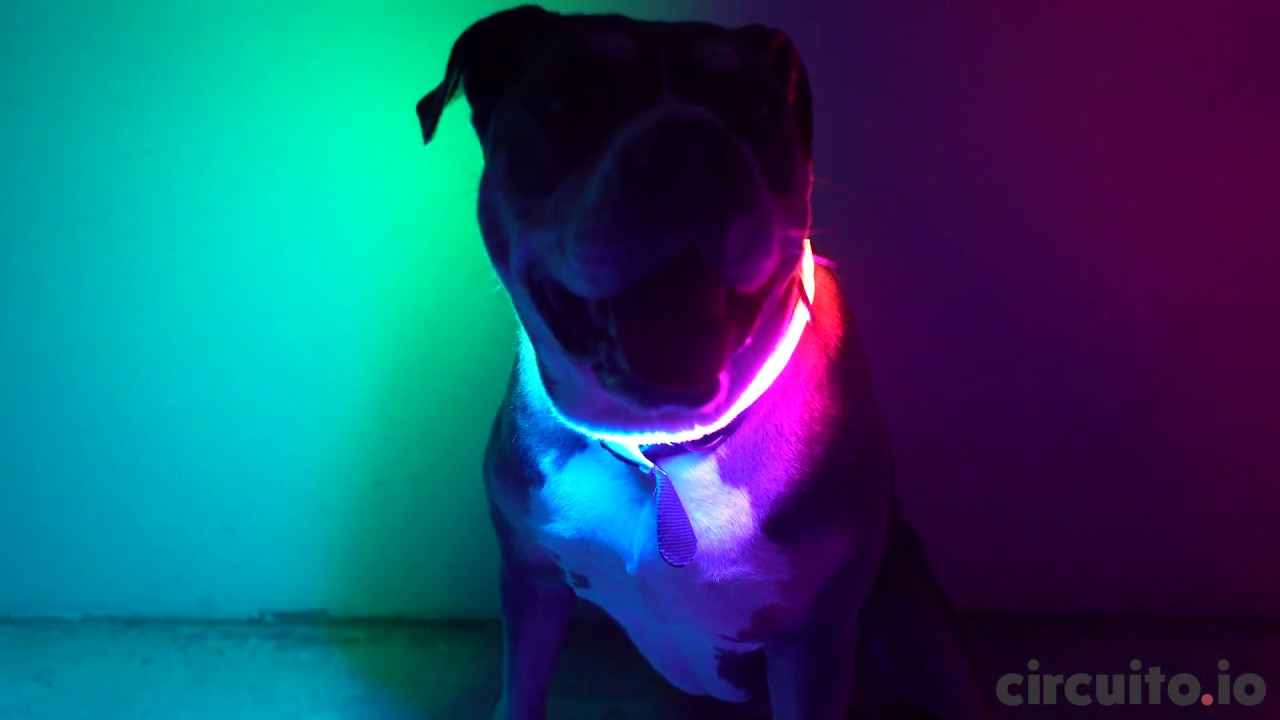 maxresdefault (9).jpg