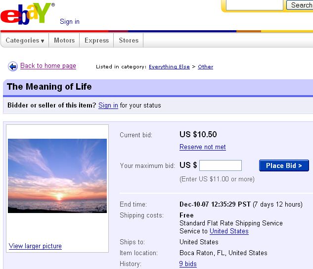 meaning-of-life-ebay.jpg