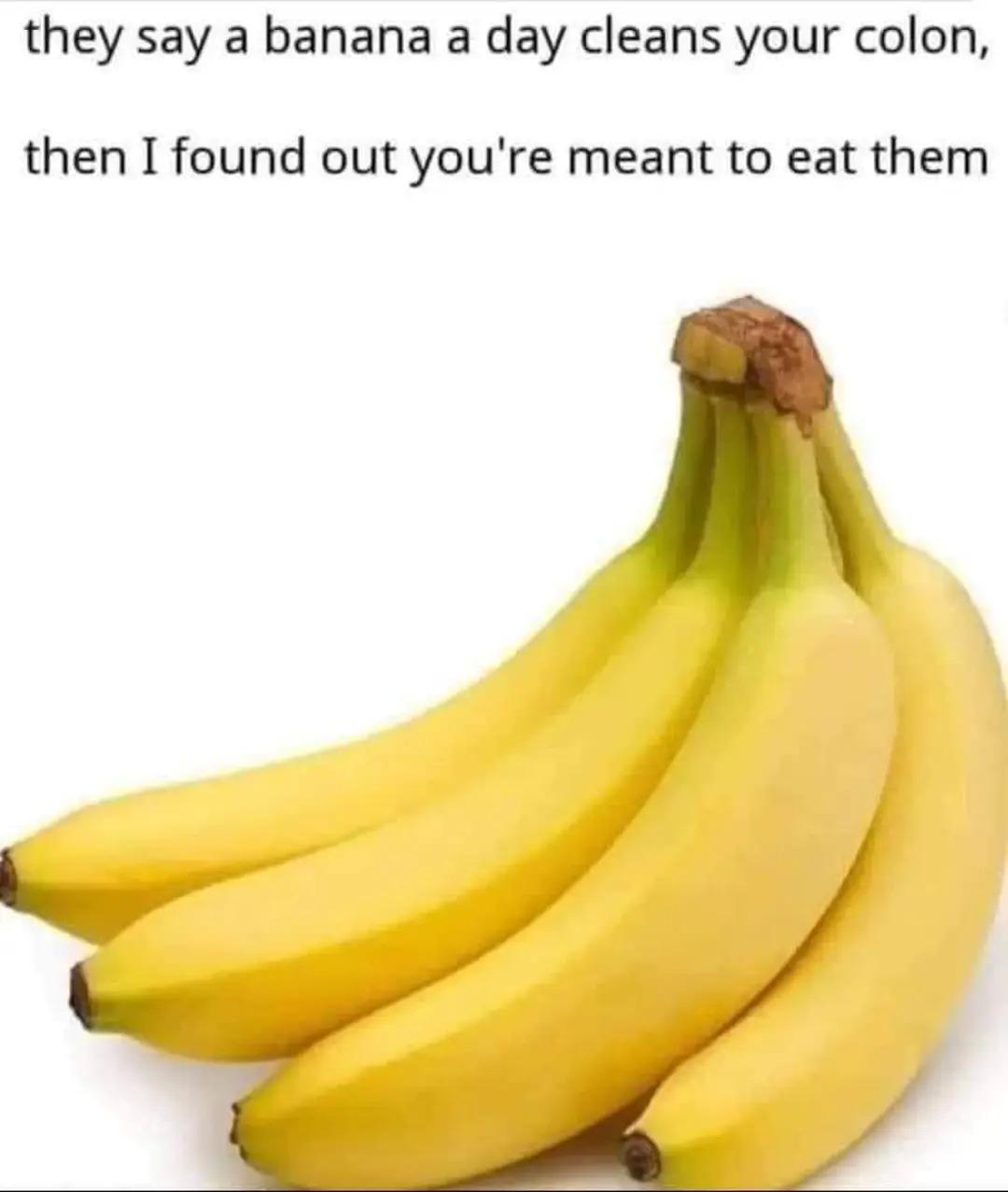 media-3175417386.jpeg