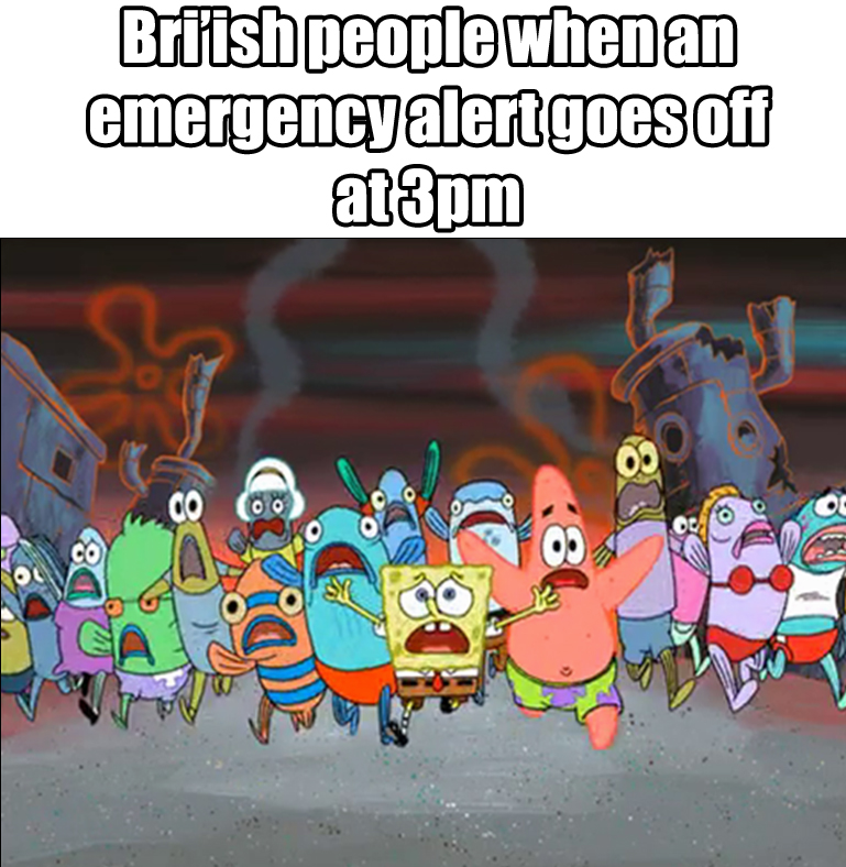 meme.jpg