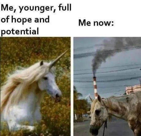 mHDrNkO.jpeg
