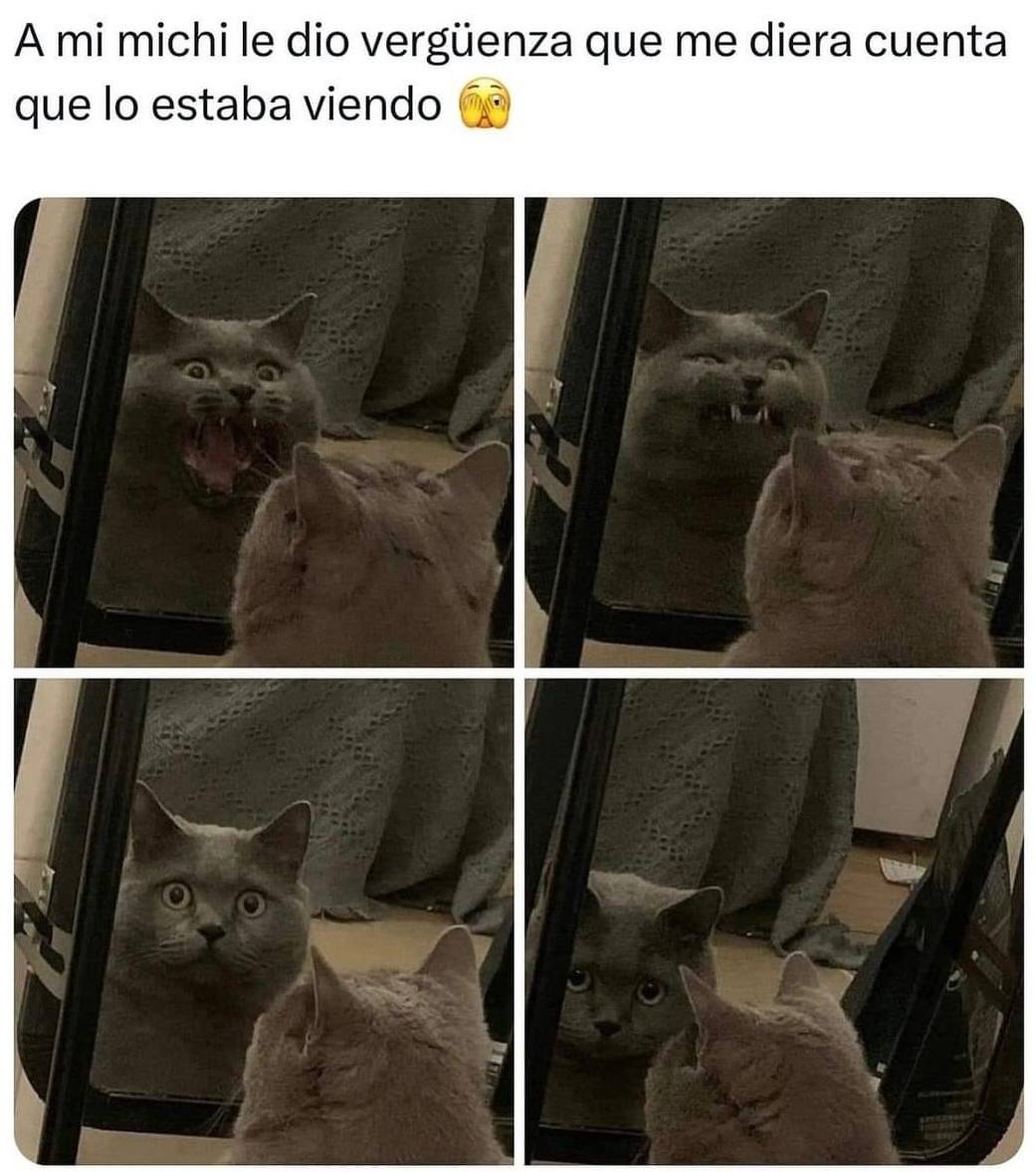 michi.jpg