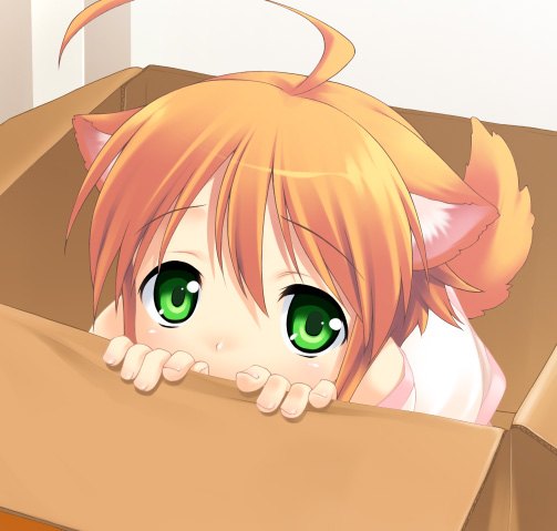 MikanAvatar.jpg