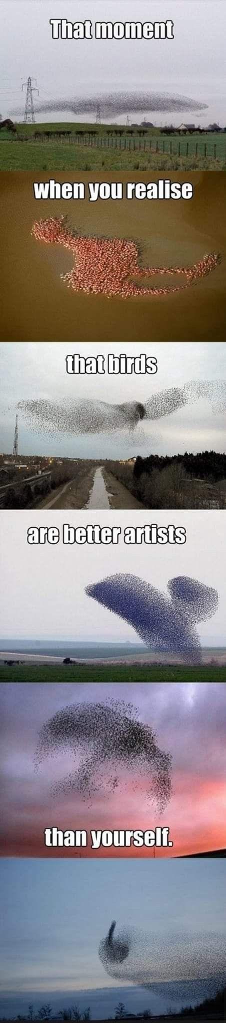 mINdqct.jpeg