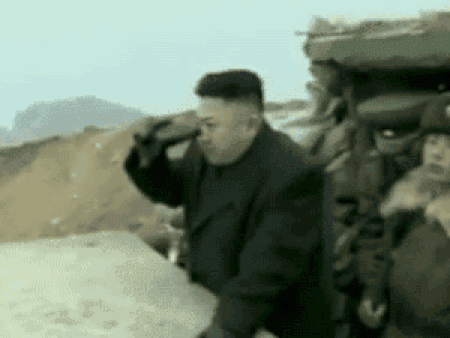 MMcNKorea.gif
