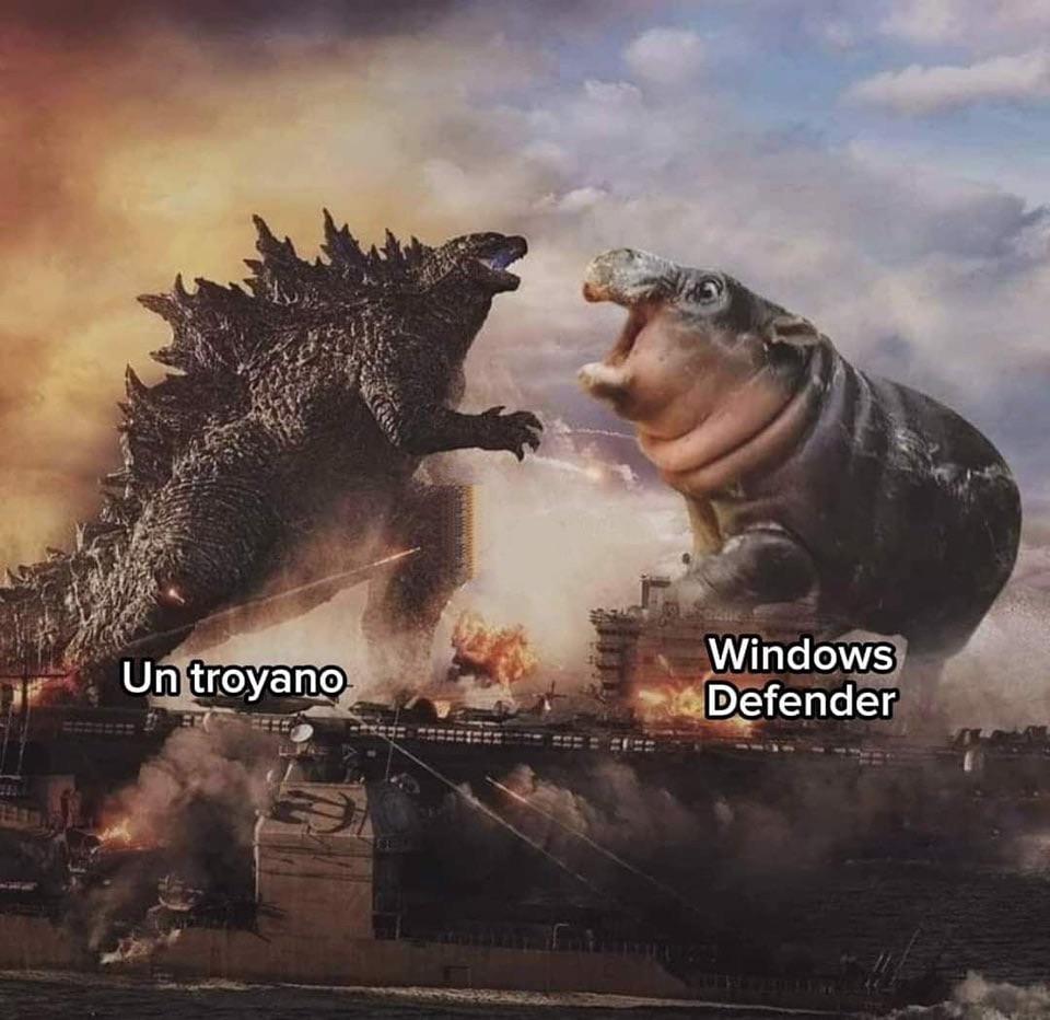 ms7vqefk241e1.jpeg