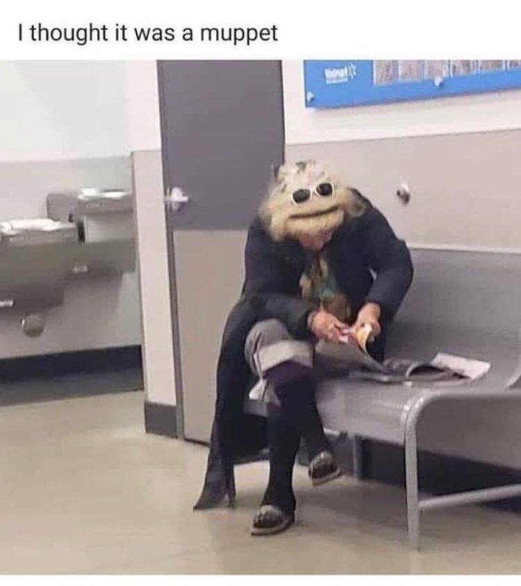 muppet.jpg