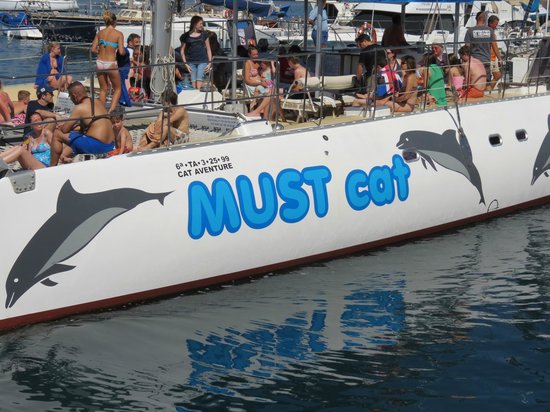 mustcat-catamaran.jpg