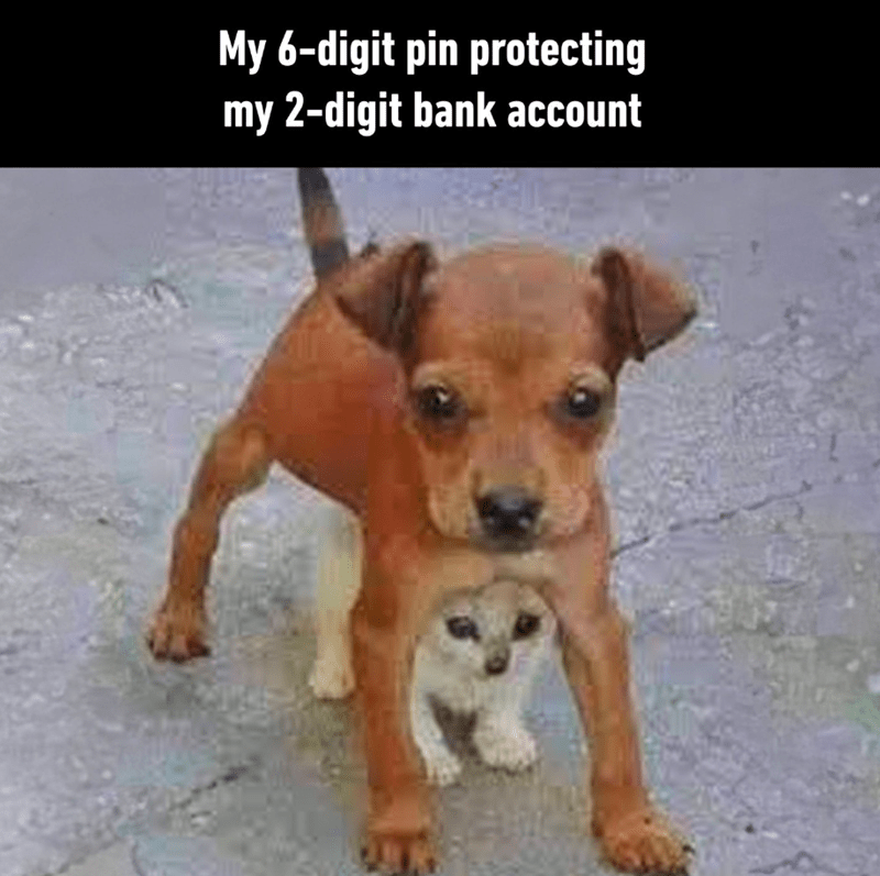 my-6-digit-pin-protecting-my-2-digit-bank-account.png
