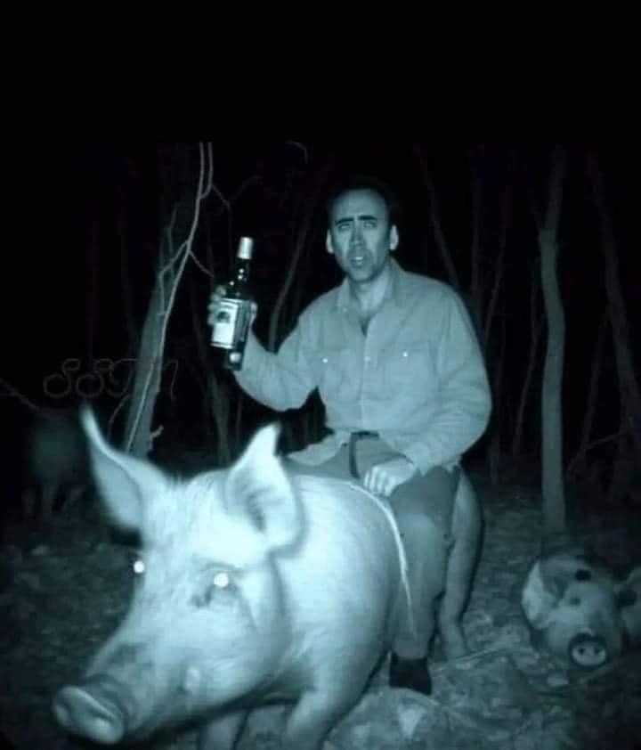 ncage.jpg