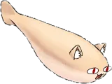 necofishe.png