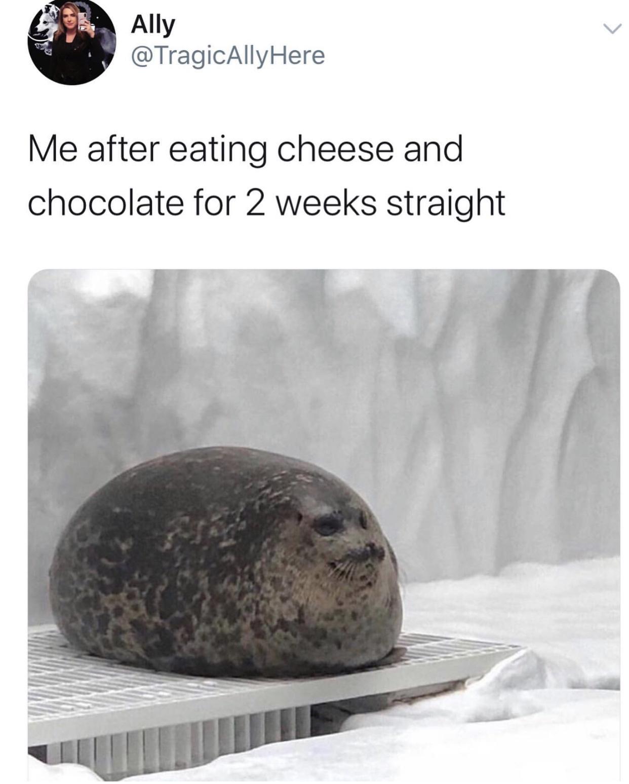 NRPqpiC.jpeg