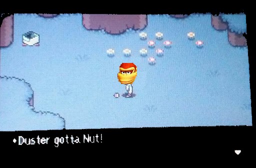 Nut.jpg