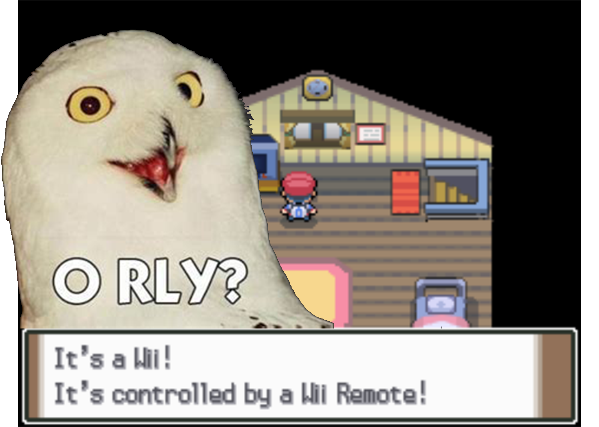 O RLY.png
