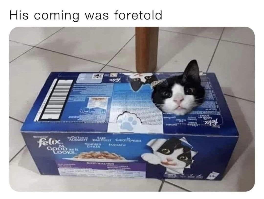 OG1NOmZ.jpeg