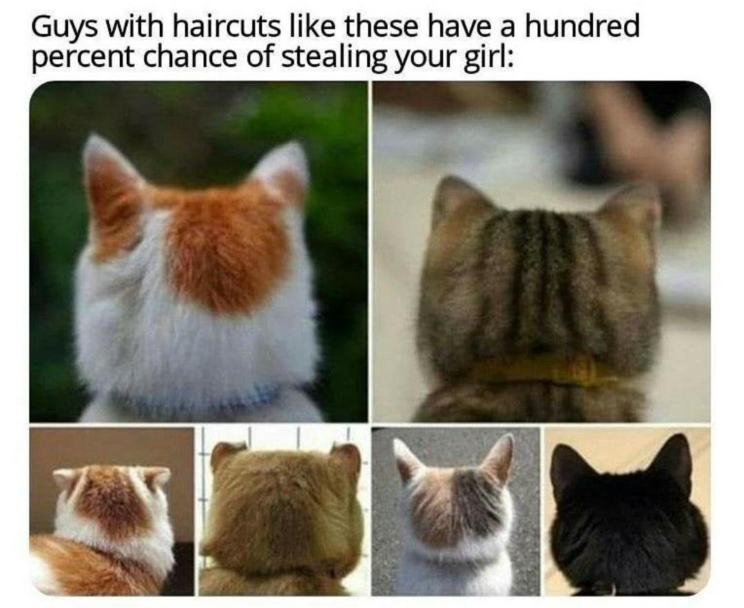 OHJhCSF.jpeg