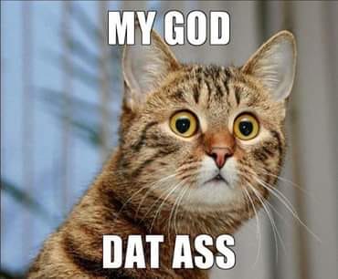 OMGdatass.jpg