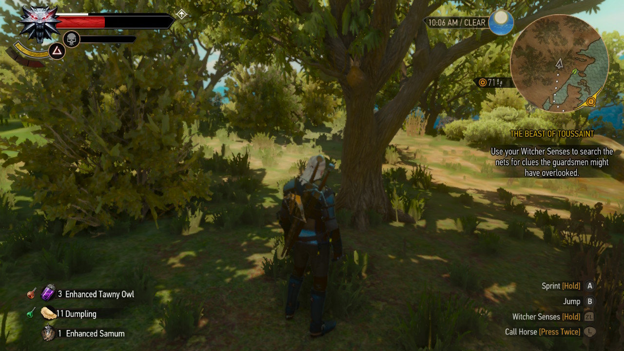 The Witcher 3 Enhanced Settings mod | GBAtemp.net - The Independent Video  Game Community