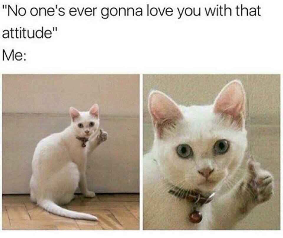 ONbga3F.jpg