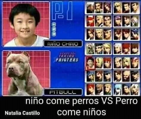 osk8szqxmlzd1.jpeg