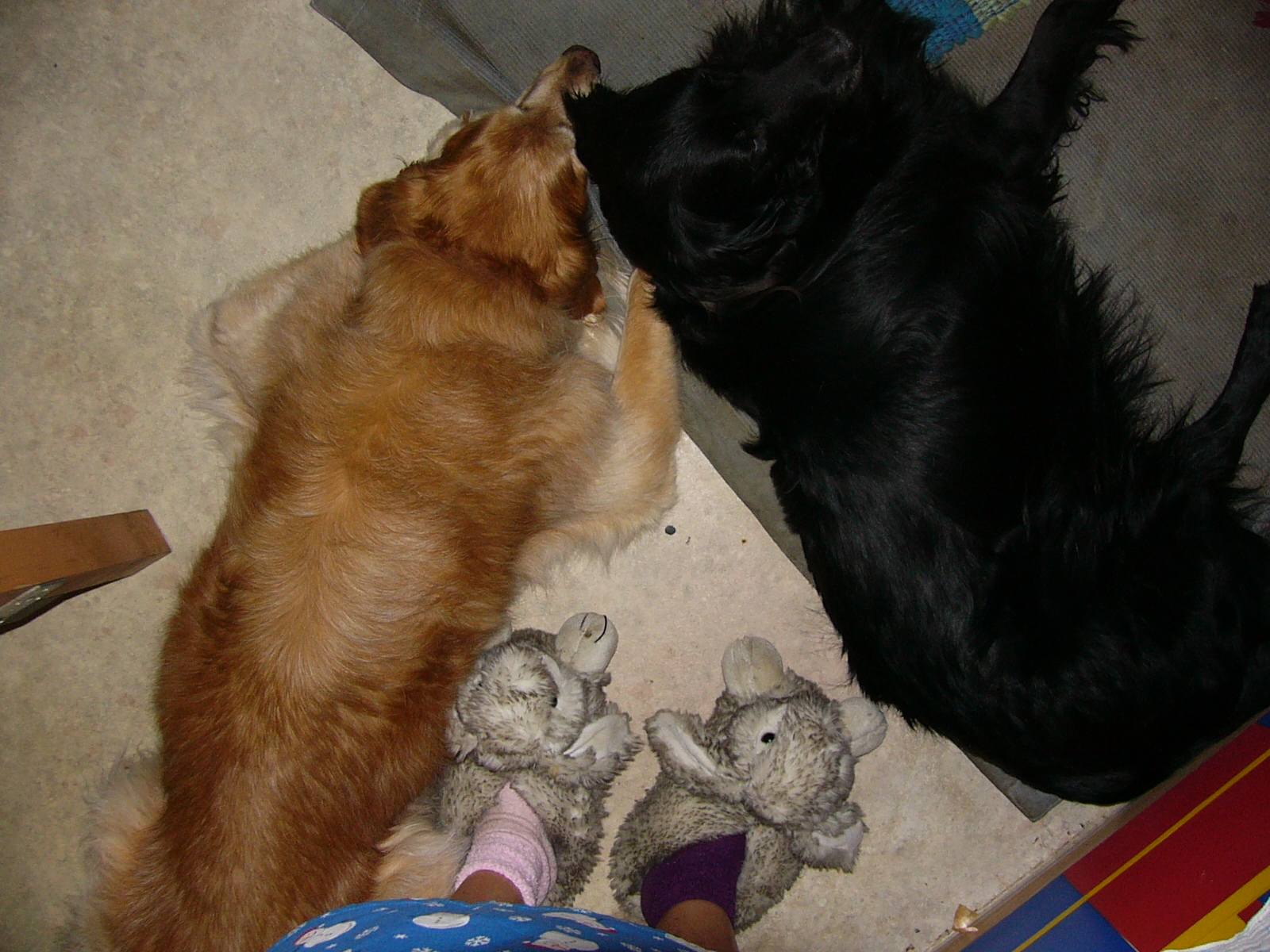 P1060449.JPG